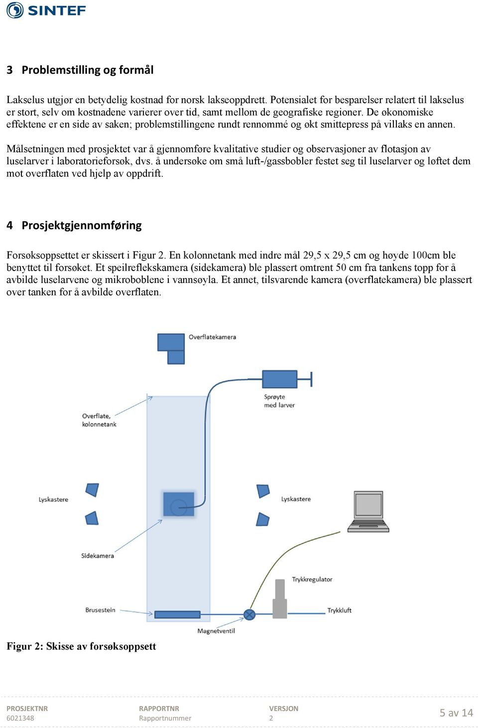 De økonomiske effektene er en side av saken; problemstillingene rundt rennommé og økt smittepress på villaks en annen.