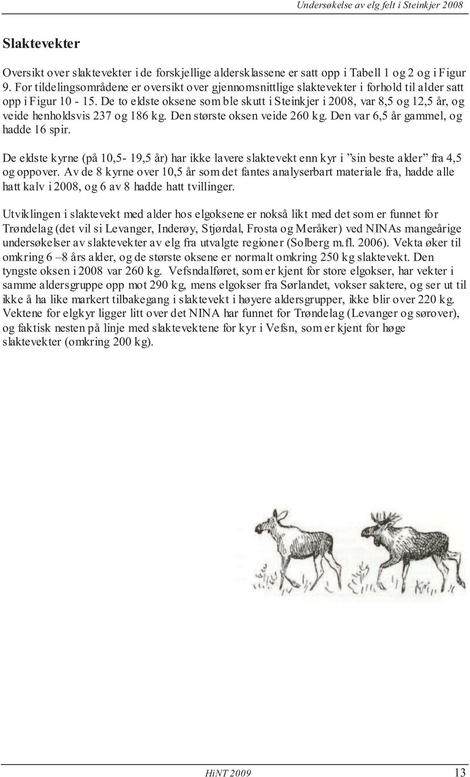 De to eldste oksene som ble skutt i Steinkjer i 2008, var 8,5 og 12,5 år, og veide henholdsvis 237 og 186 kg. Den største oksen veide 260 kg. Den var 6,5 år gammel, og hadde 16 spir.
