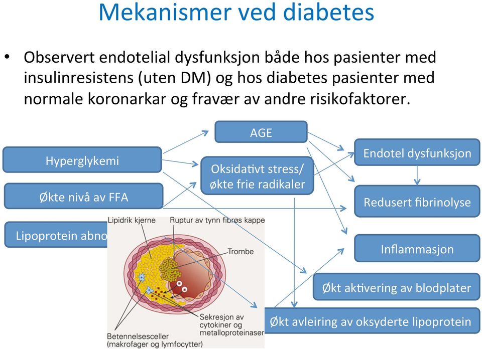 Hyperglykemi Økte nivå av FFA Lipoprotein abnormiteter AGE Oksida[vt stress/ økte frie radikaler