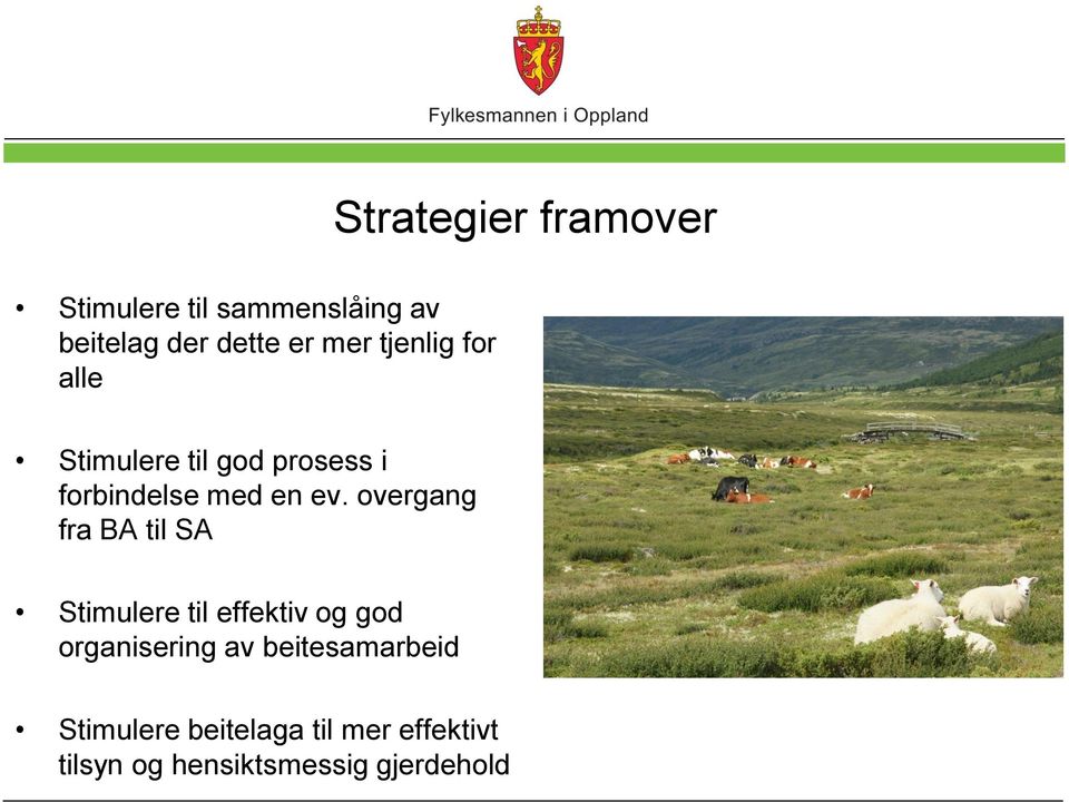 overgang fra BA til SA Stimulere til effektiv og god organisering av