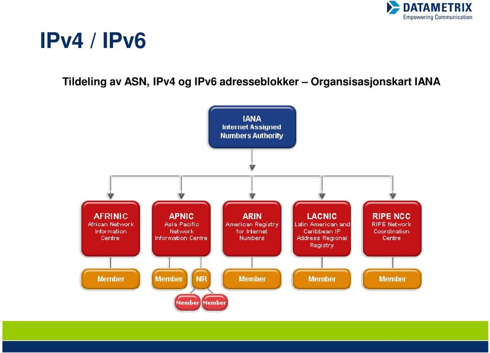 IPv4 og IPv6