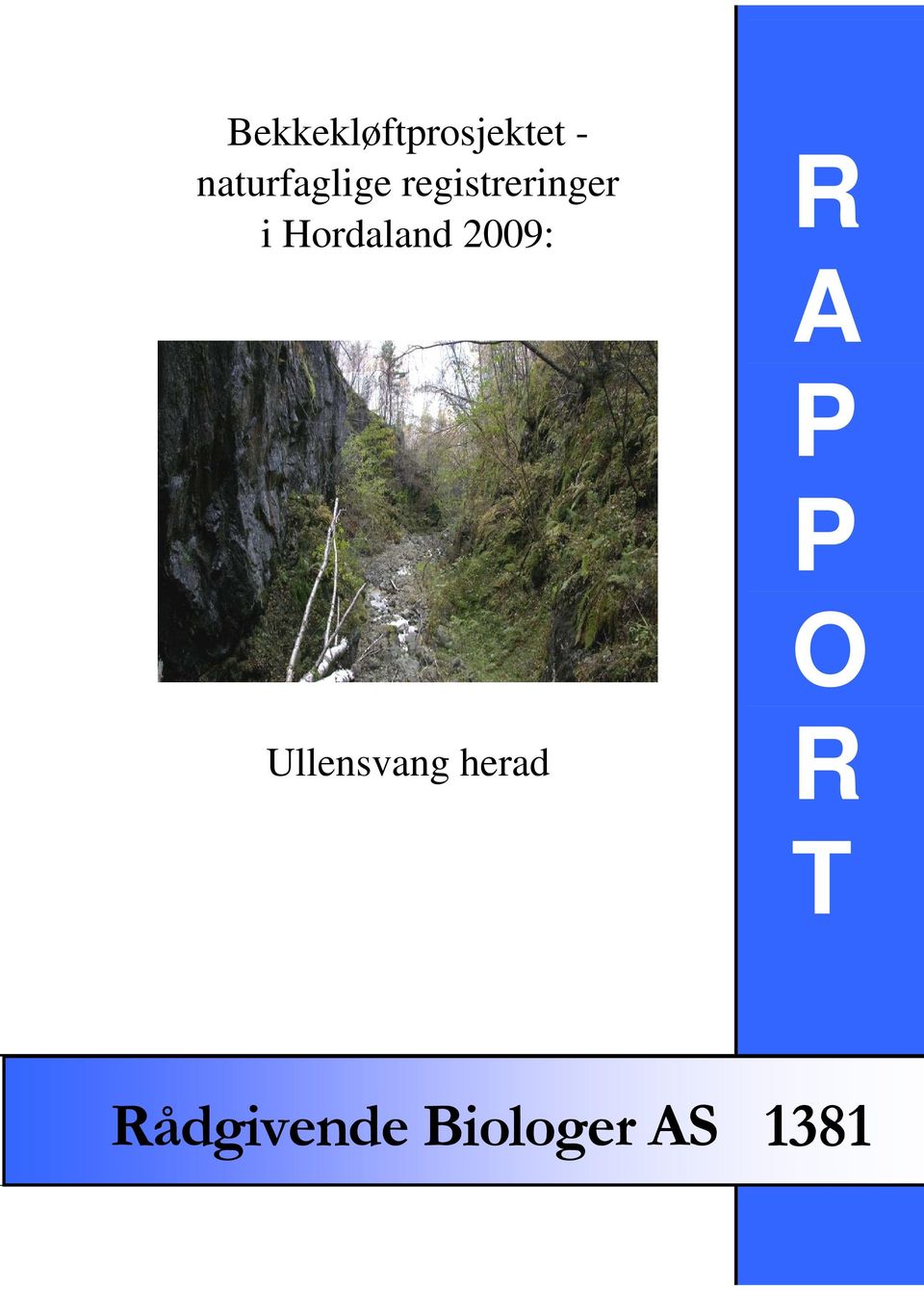 Hordaland 2009: R A P P O