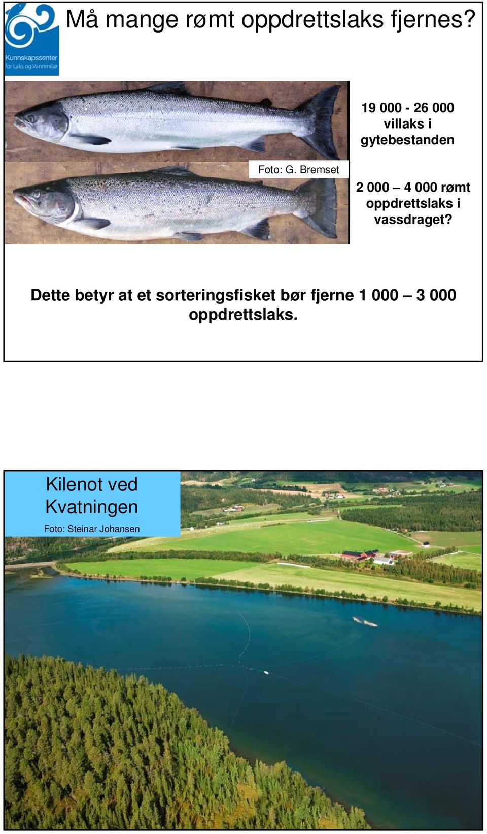 Bremset 2 000 4 000 rømt oppdrettslaks i vassdraget?