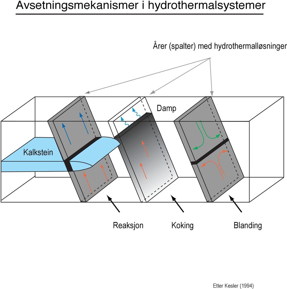 med hydrothermalløsninger Damp