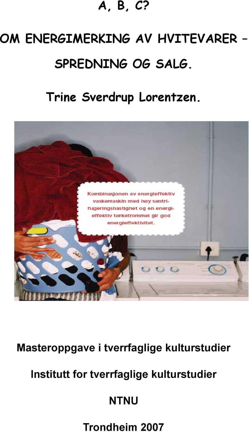 SALG. Trine Sverdrup Lorentzen.