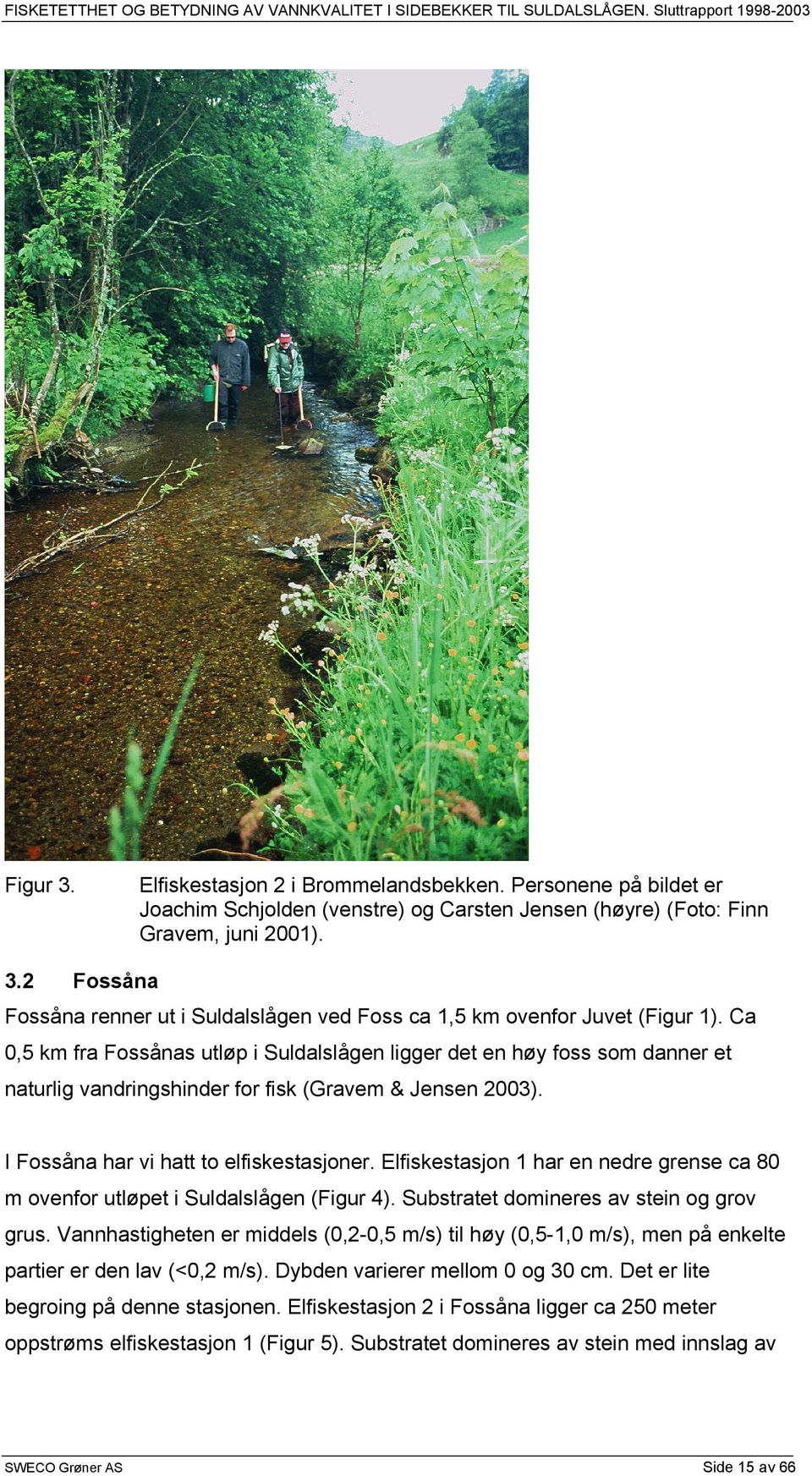 Elfiskestasjon 1 har en nedre grense ca 80 m ovenfor utløpet i Suldalslågen (Figur 4). Substratet domineres av stein og grov grus.