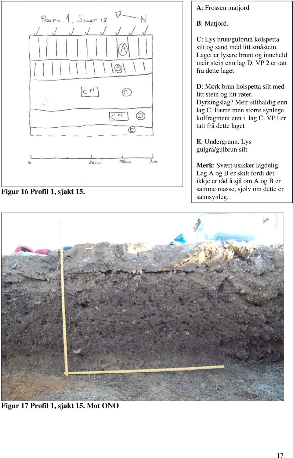 Færre men større synlege kolfragment enn i lag C. VP1 er tatt frå dette laget E: Undergrunn. Lys gulgrå/gulbrun silt Figur 16 Profil 1, sjakt 15.
