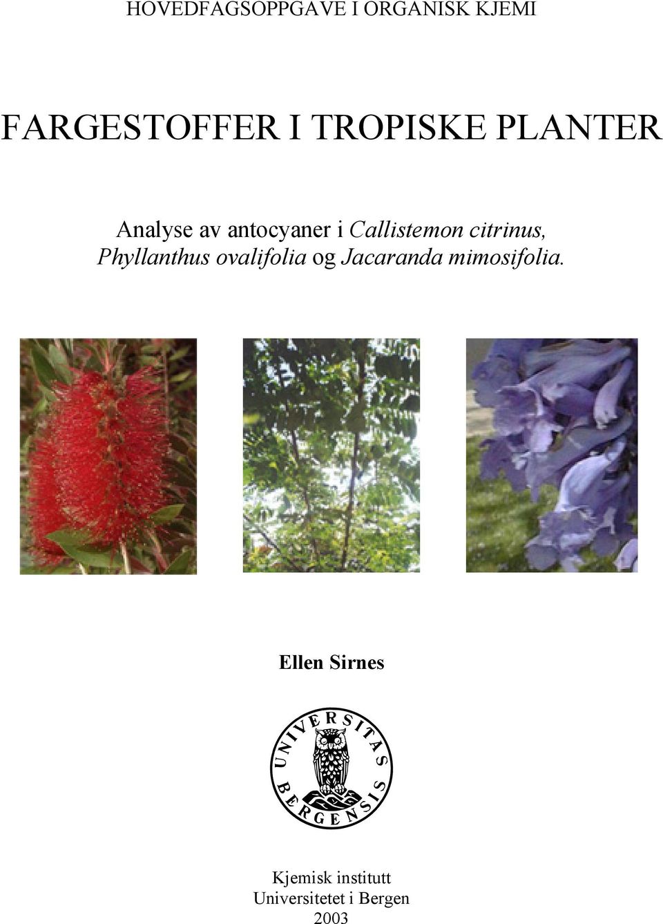 Phyllanthus ovalifolia og Jacaranda mimosifolia.
