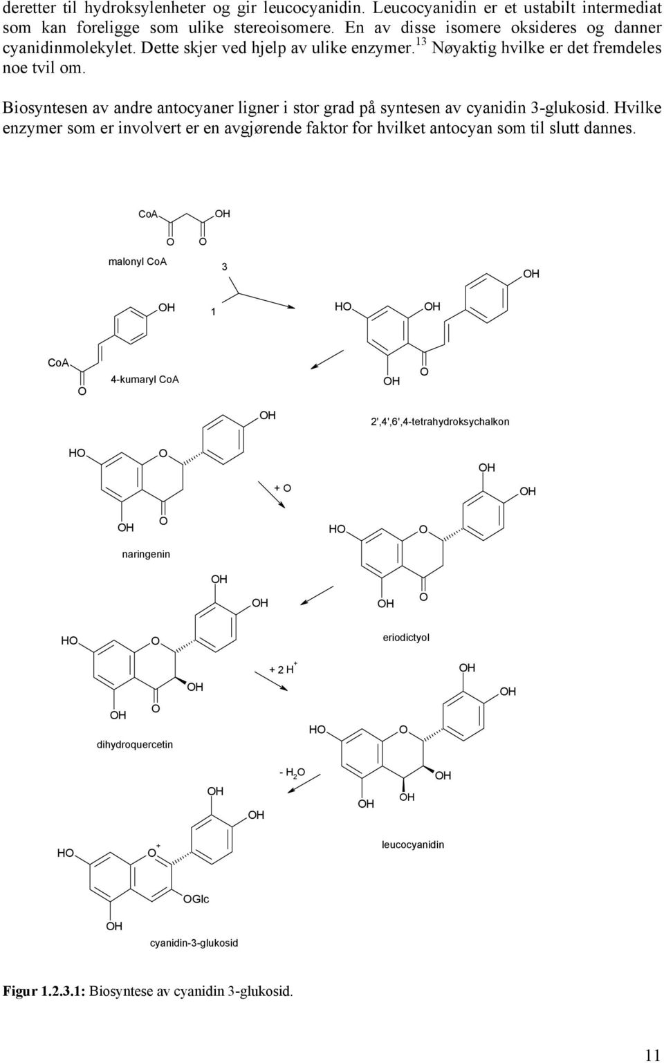 Biosyntesen av andre antocyaner ligner i stor grad på syntesen av cyanidin 3-glukosid.