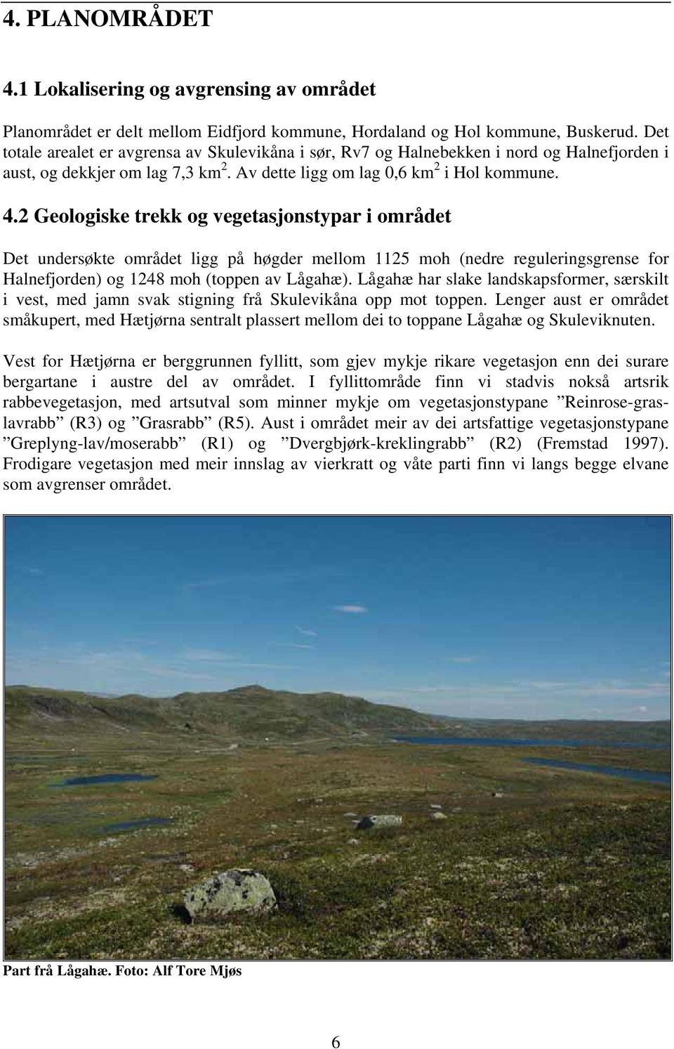 2 Geologiske trekk og vegetasjonstypar i området Det undersøkte området ligg på høgder mellom 1125 moh (nedre reguleringsgrense for Halnefjorden) og 1248 moh (toppen av Lågahæ).