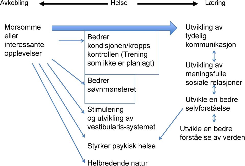 vestibularis-systemet Styrker psykisk helse Helbredende natur tydelig kommunikasjon