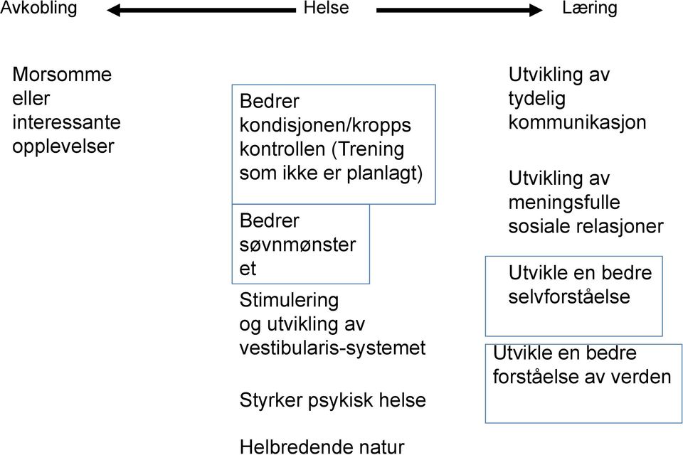 vestibularis-systemet Styrker psykisk helse Helbredende natur tydelig kommunikasjon