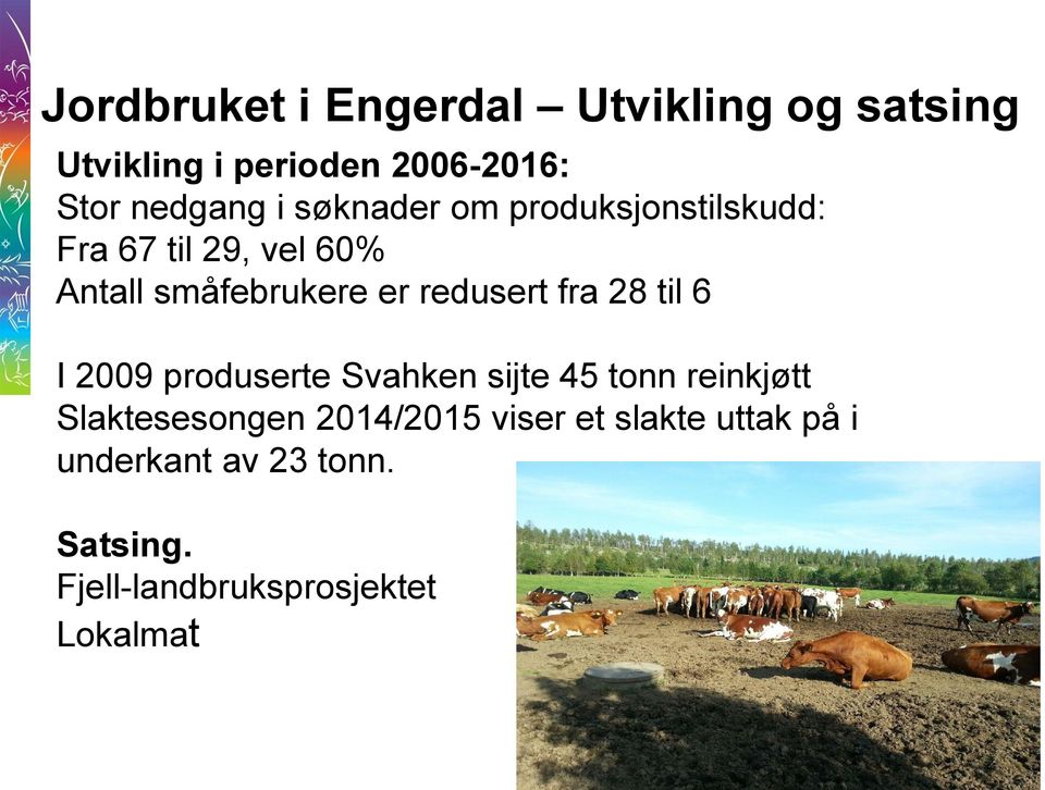 fra 28 til 6 I 2009 produserte Svahken sijte 45 tonn reinkjøtt Slaktesesongen 2014/2015