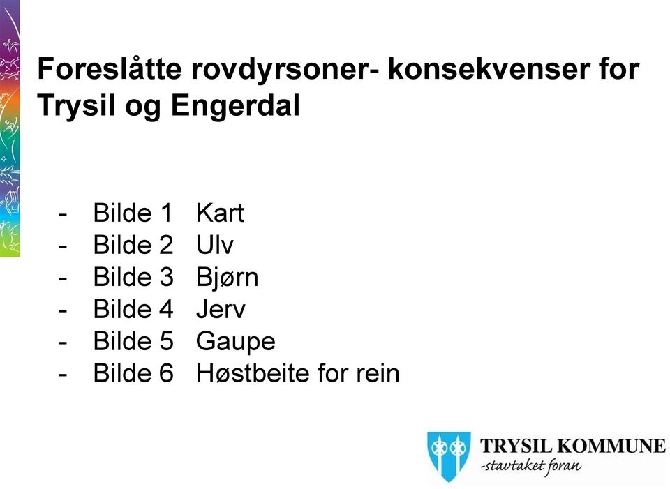 Bilde 2 Ulv - Bilde 3 Bjørn - Bilde 4