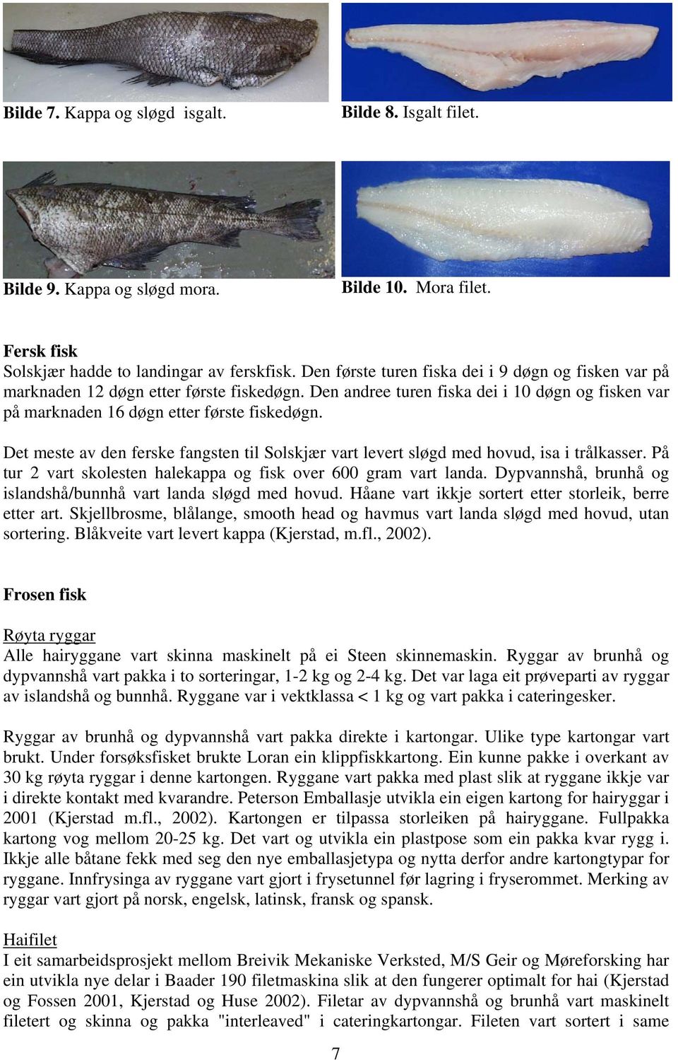 Det meste av den ferske fangsten til Solskjær vart levert sløgd med hovud, isa i trålkasser. På tur 2 vart skolesten halekappa og fisk over 600 gram vart landa.