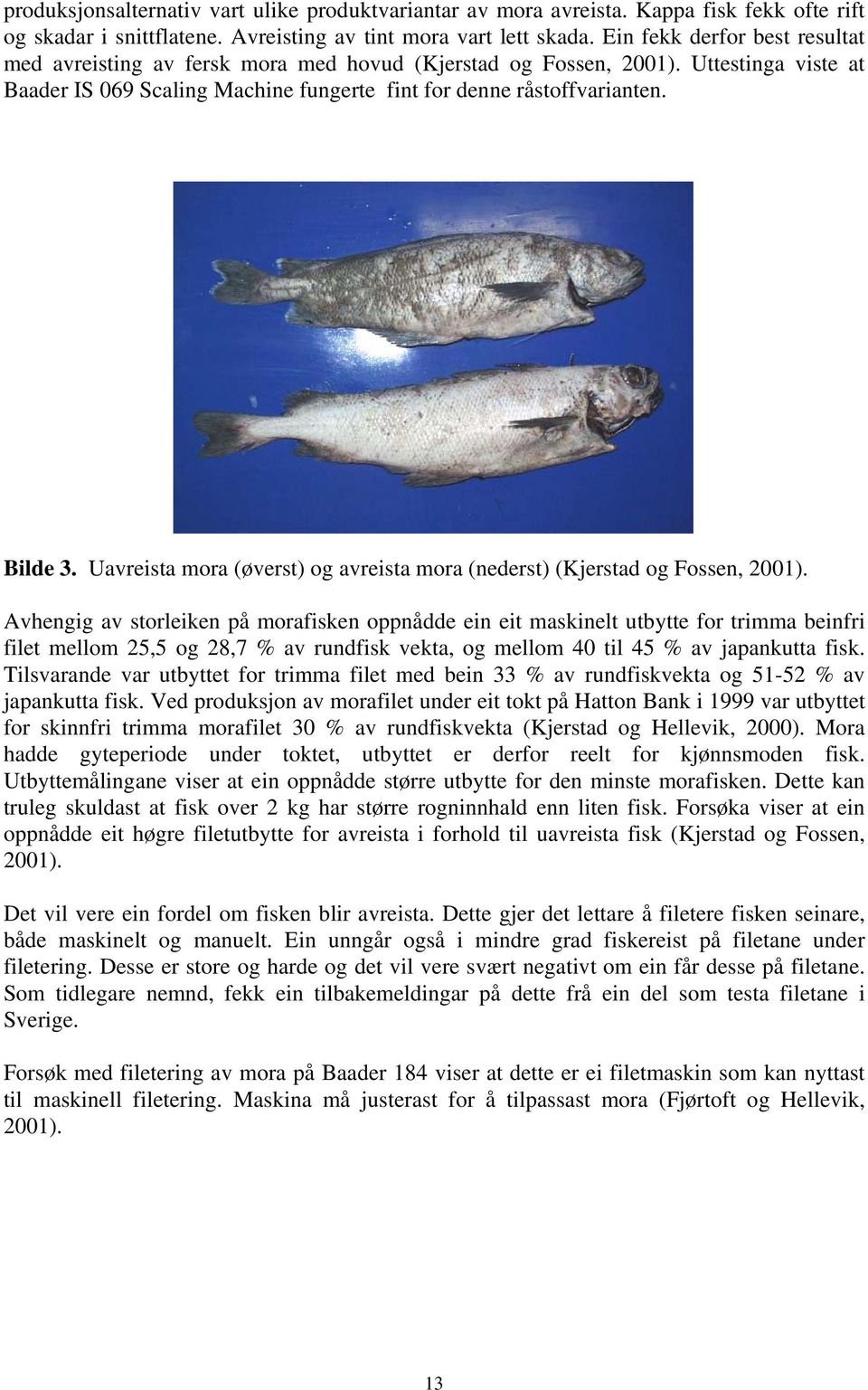 Uavreista mora (øverst) og avreista mora (nederst) (Kjerstad og Fossen, 2001).