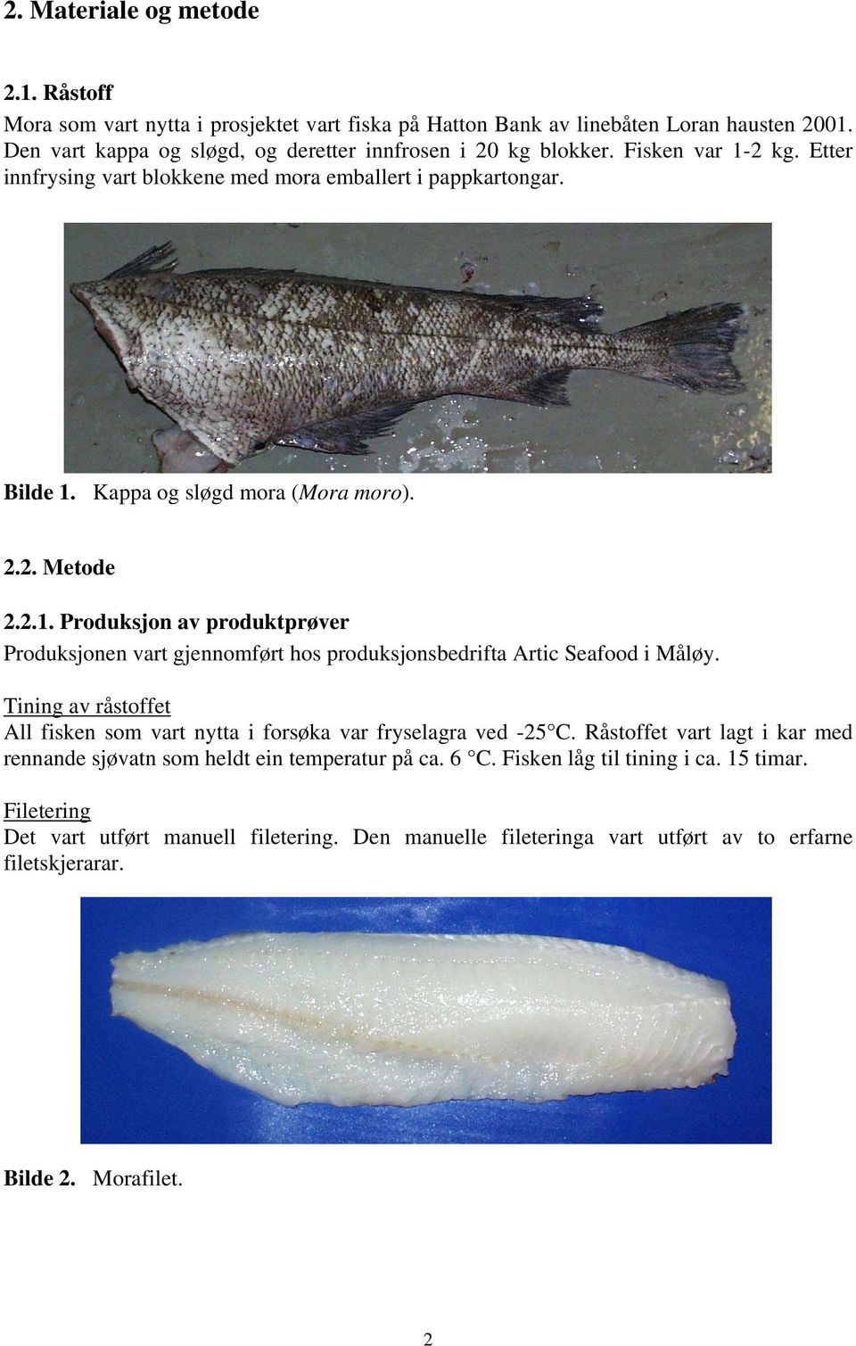 Tining av råstoffet All fisken som vart nytta i forsøka var fryselagra ved -25 C. Råstoffet vart lagt i kar med rennande sjøvatn som heldt ein temperatur på ca. 6 C. Fisken låg til tining i ca.