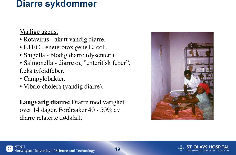 Salmonella - diarre og enteritisk feber, f.eks tyfoidfeber. Campylobakter.