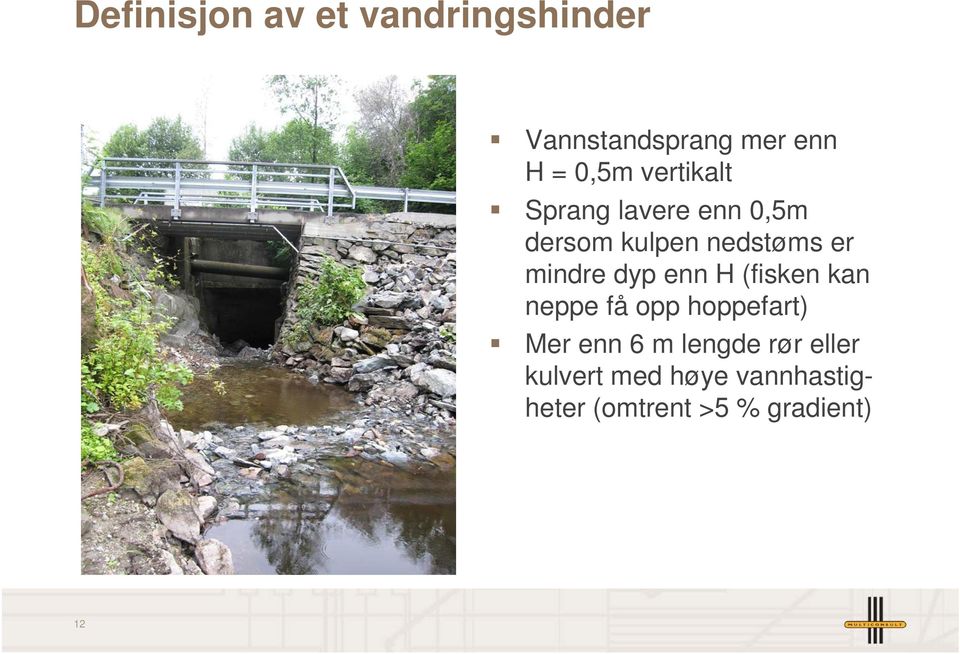 dyp enn H (fisken kan neppe få opp hoppefart) Mer enn 6 m lengde