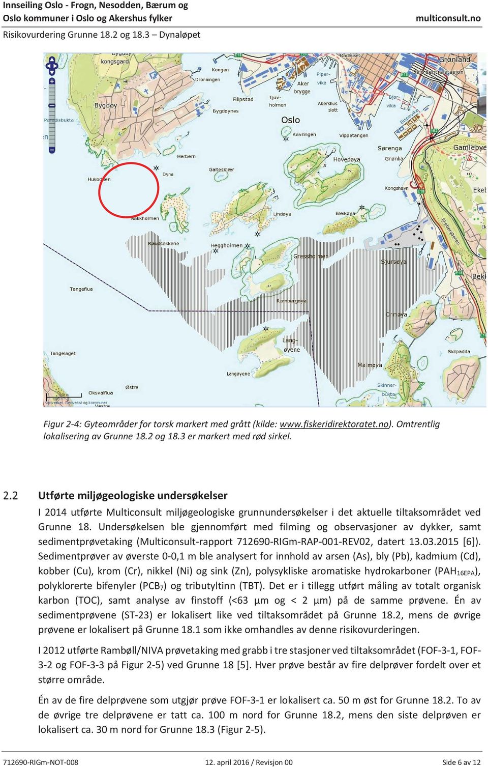 Undersøkelsen ble gjennomført med filming og observasjoner av dykker, samt sedimentprøvetaking (Multiconsult-rapport 712690-RIGm-RAP-001-REV02, datert 13.03.2015 [6]).