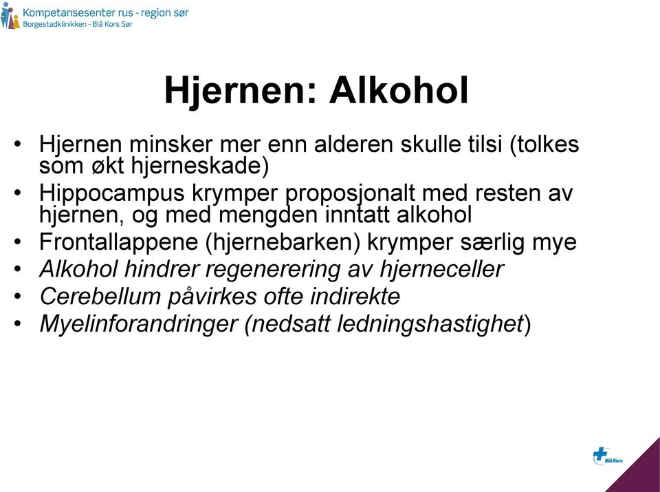 inntatt alkohol Frontallappene (hjernebarken) krymper særlig mye Alkohol hindrer