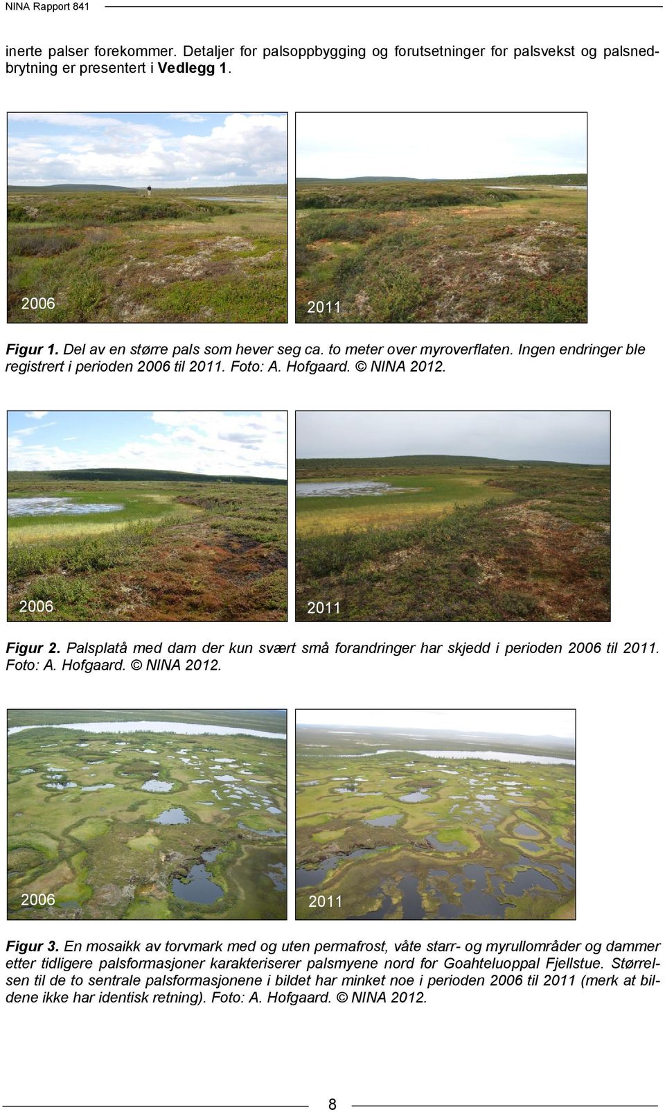 Palsplatå med dam der kun svært små forandringer har skjedd i perioden 2006 til 2011. Foto: A. Hofgaard. NINA 2012. 2006 2011 Figur 3.