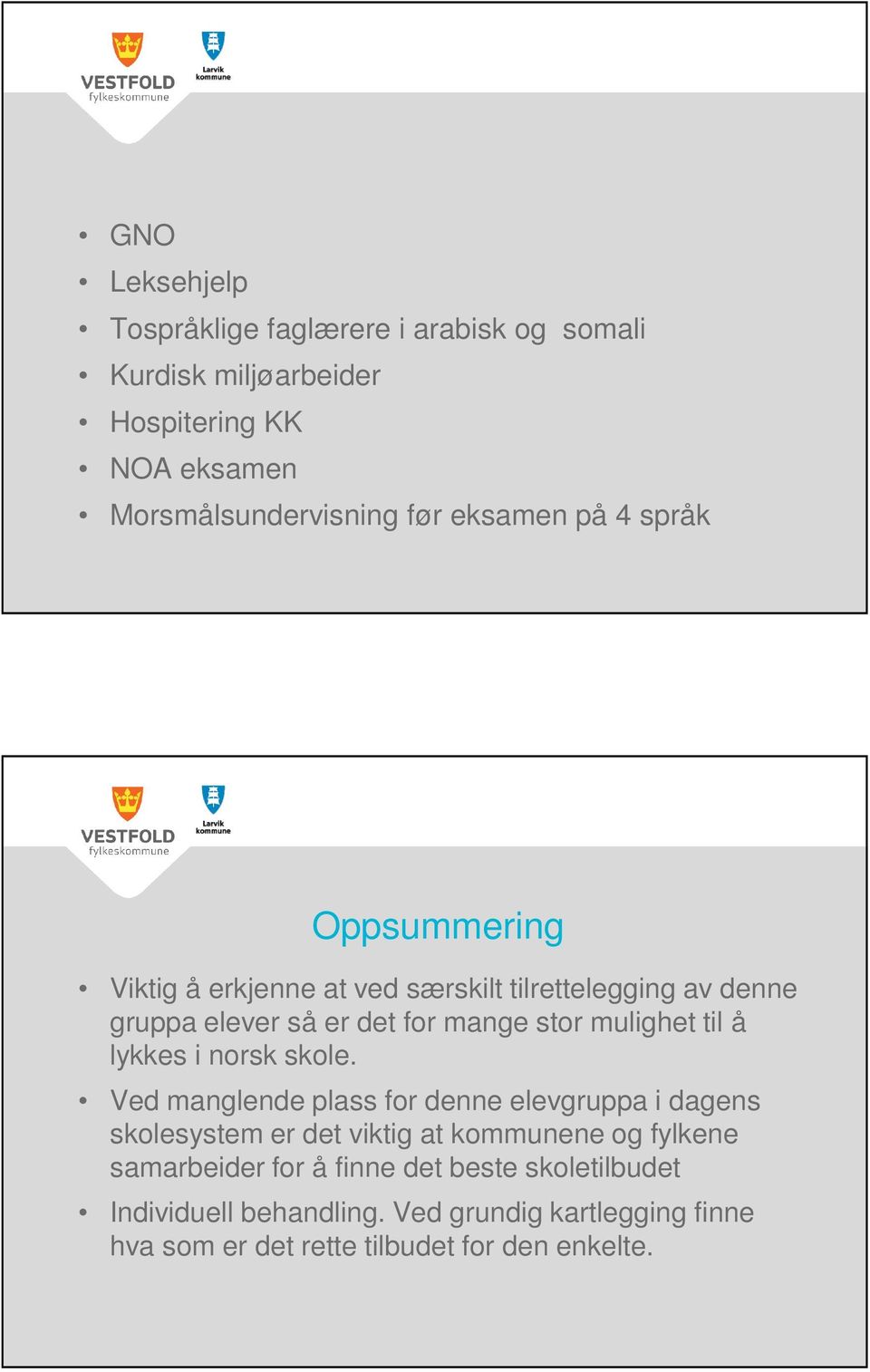 mulighet til å lykkes i norsk skole.