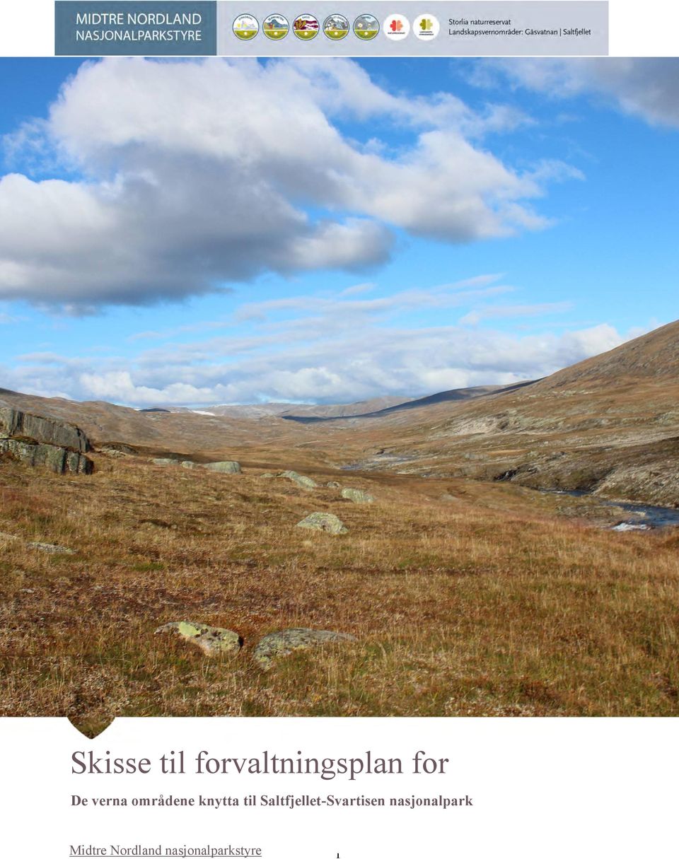 Saltfjellet-Svartisen