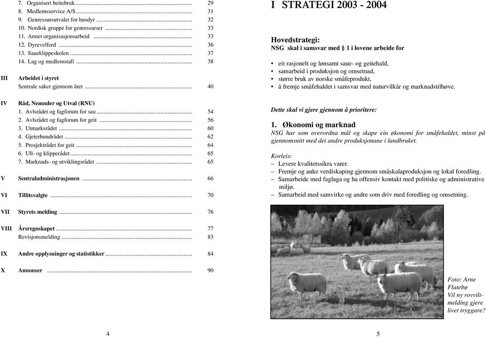 .. 40 I STRATEGI 2003-2004 Hovedstrategi: NSG skal i samsvar med 1 i lovene arbeide for eit rasjonelt og lønsamt saue- og geitehald, samarbeid i produksjon og omsetnad, større bruk av norske