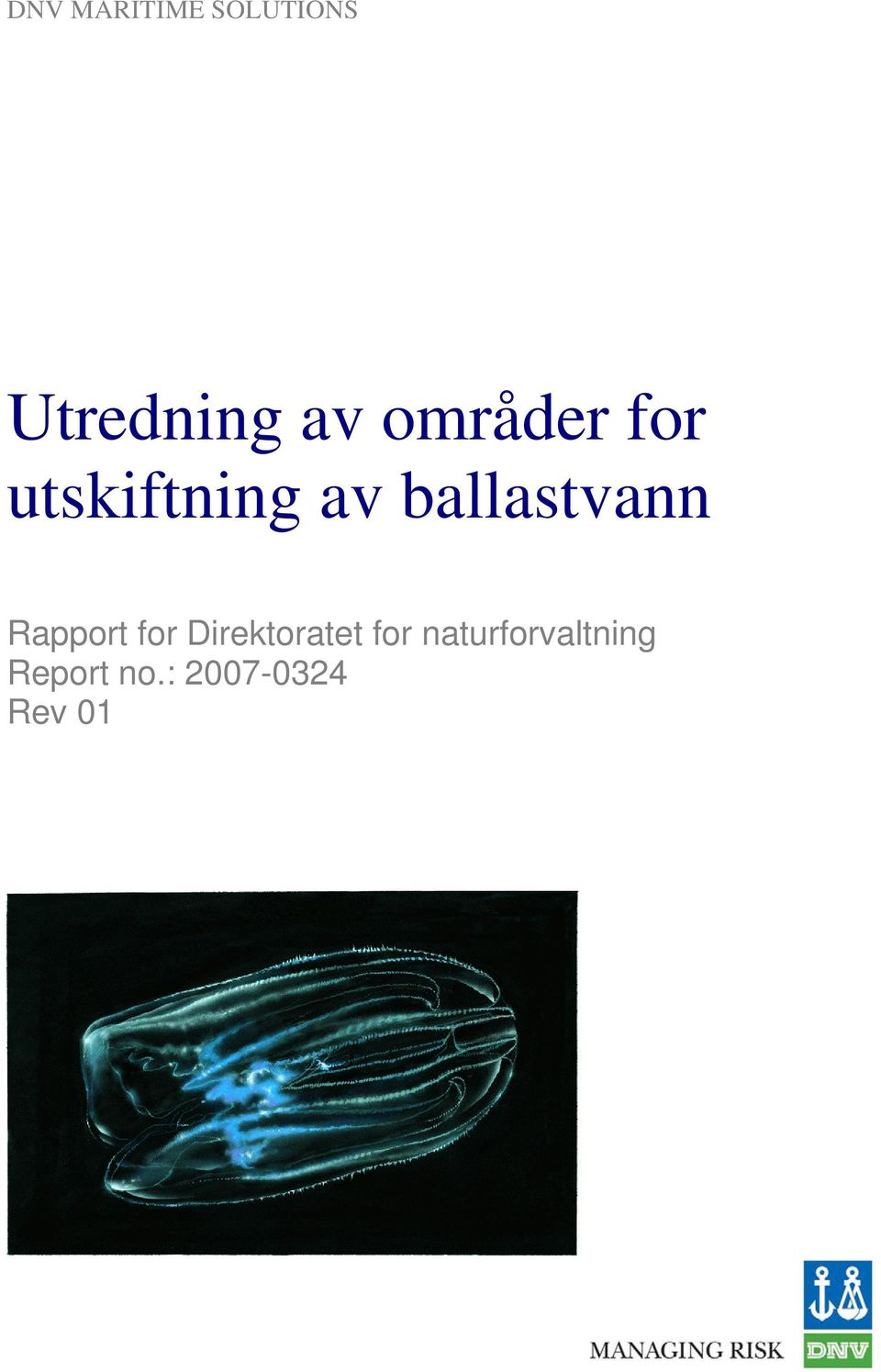 utskiftning av ballastvann