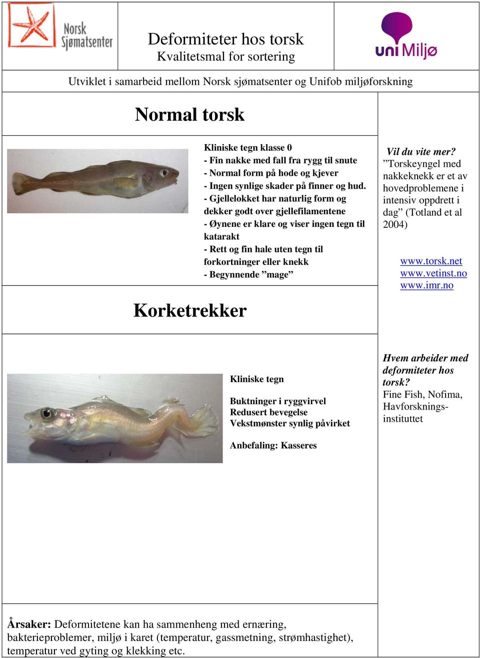 - Gjellelokket har naturlig form og dekker godt over gjellefilamentene - Øynene er klare og viser ingen tegn til katarakt - Rett og fin hale uten tegn til forkortninger eller knekk - Begynnende mage