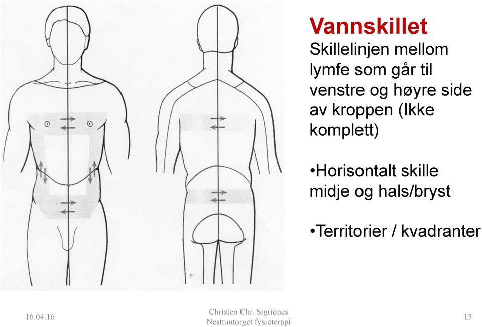 (Ikke komplett) Horisontalt skille midje og