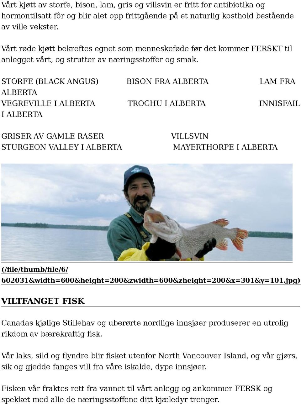 STORFE (BLACK ANGUS) BISON FRA ALBERTA LAM FRA ALBERTA VEGREVILLE I ALBERTA TROCHU I ALBERTA INNISFAIL I ALBERTA GRISER AV GAMLE RASER STURGEON VALLEY I ALBERTA VILLSVIN MAYERTHORPE I ALBERTA