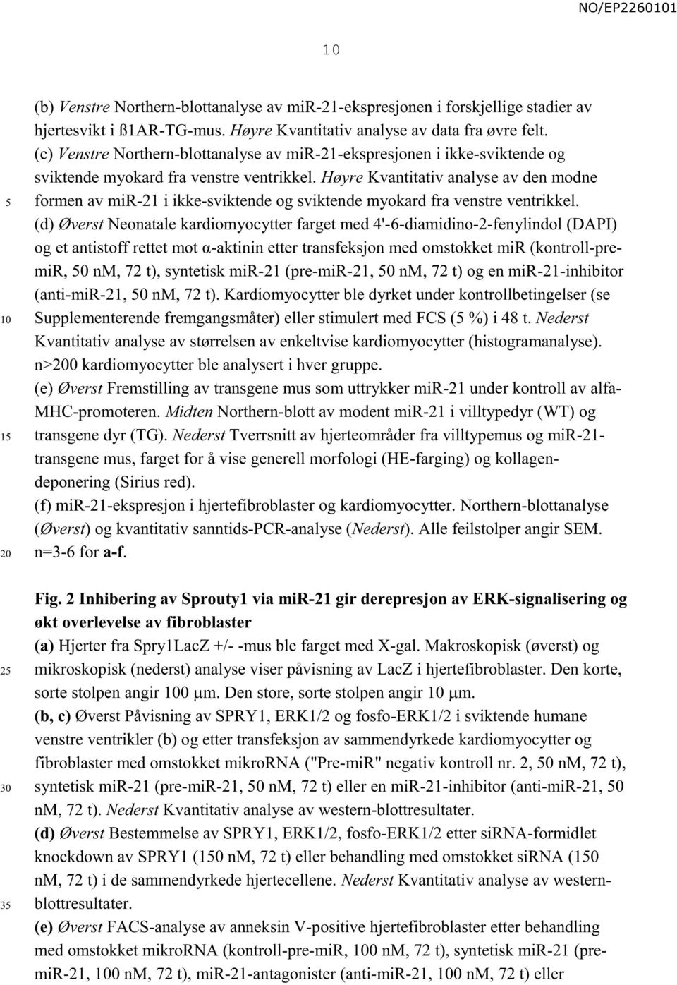 Høyre Kvantitativ analyse av den modne formen av mir-21 i ikke-sviktende og sviktende myokard fra venstre ventrikkel.