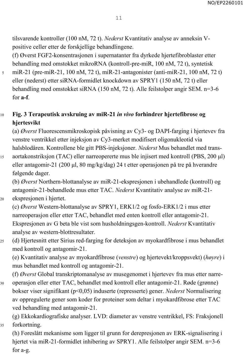 mir-21-antagonister (anti-mir-21, 0 nm, 72 t) eller (nederst) etter sirna-formidlet knockdown av SPRY1 ( nm, 72 t) eller behandling med omstokket sirna ( nm, 72 t). Alle feilstolper angir SEM.