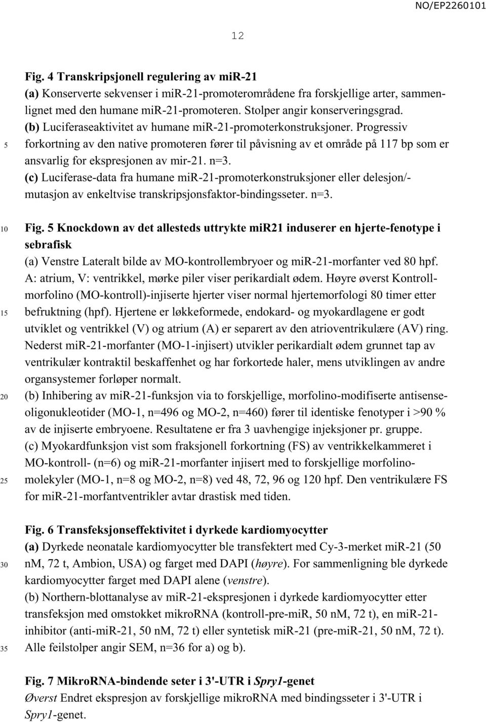 Progressiv forkortning av den native promoteren fører til påvisning av et område på 117 bp som er ansvarlig for ekspresjonen av mir-21. n=3.