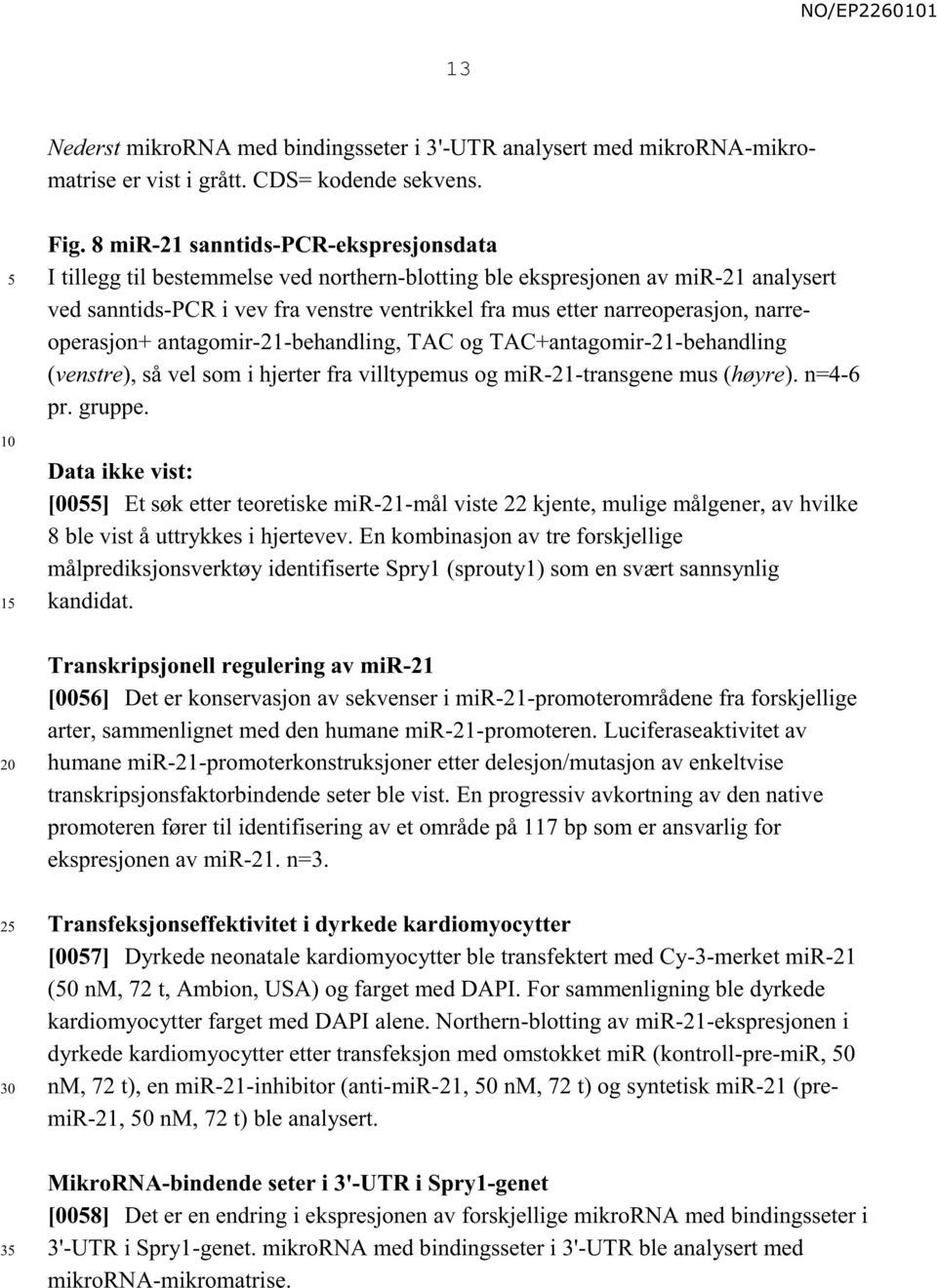 narreoperasjon+ antagomir-21-behandling, TAC og TAC+antagomir-21-behandling (venstre), så vel som i hjerter fra villtypemus og mir-21-transgene mus (høyre). n=4-6 pr. gruppe.