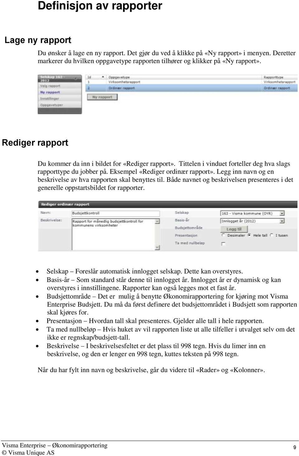 Tittelen i vinduet forteller deg hva slags rapporttype du jobber på. Eksempel «Rediger ordinær rapport». Legg inn navn og en beskrivelse av hva rapporten skal benyttes til.