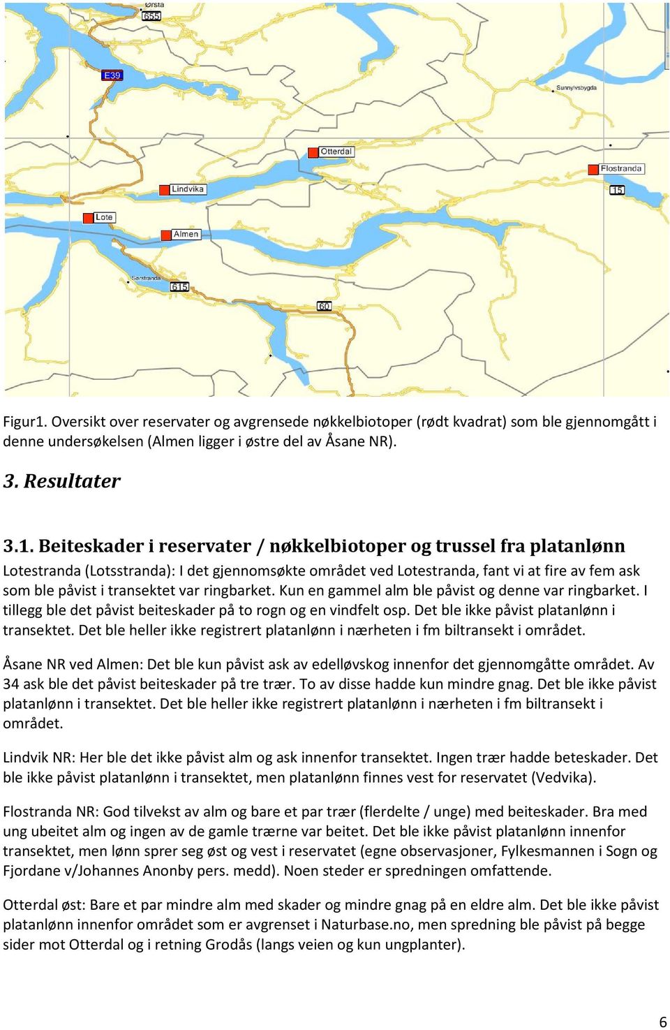 Beiteskader i reservater / nøkkelbiotoper og trussel fra platanlønn Lotestranda (Lotsstranda): I det gjennomsøkte området ved Lotestranda, fant vi at fire av fem ask som ble påvist i transektet var