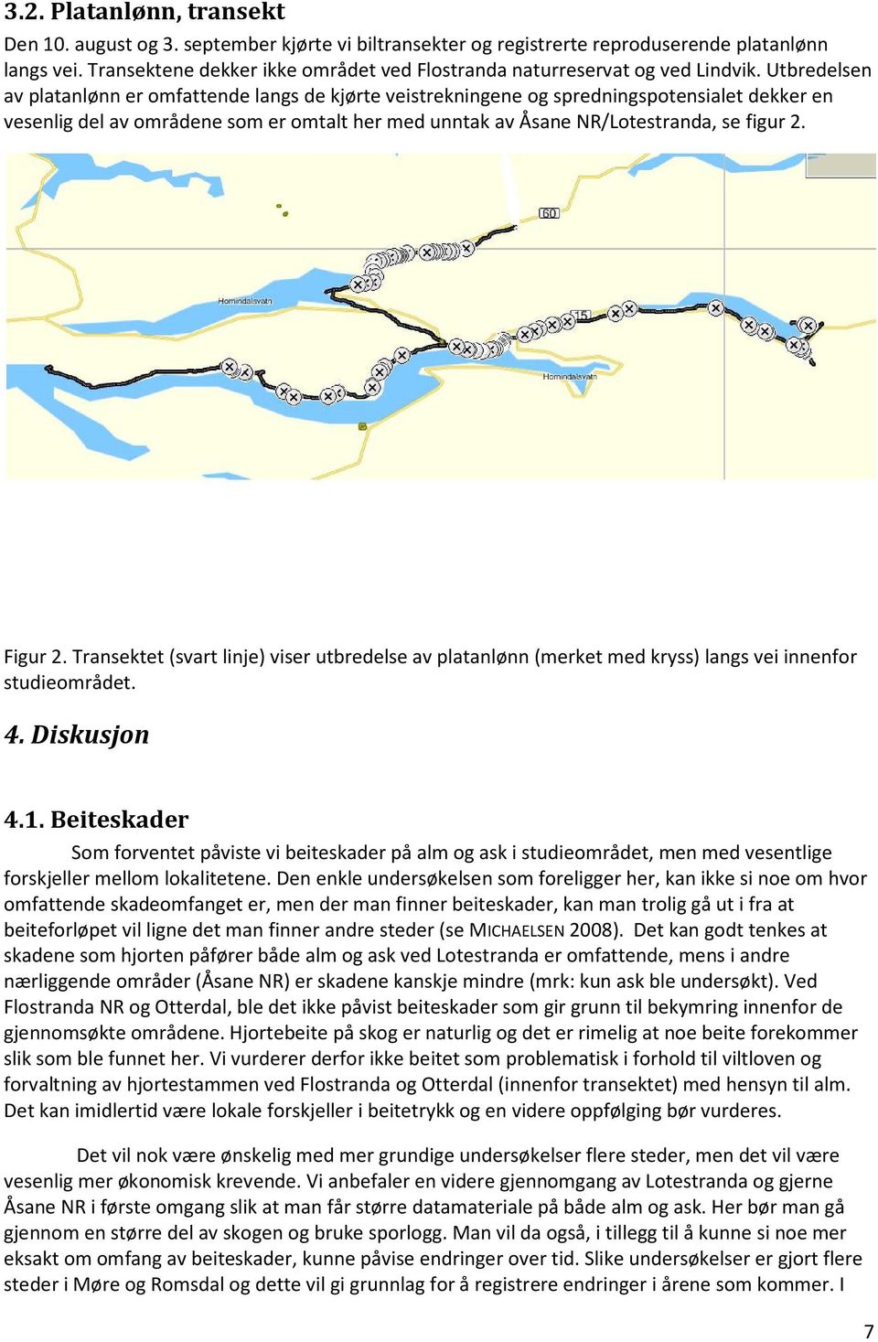 Utbredelsen av platanlønn er omfattende langs de kjørte veistrekningene og spredningspotensialet dekker en vesenlig del av områdene som er omtalt her med unntak av Åsane NR/Lotestranda, se figur 2.