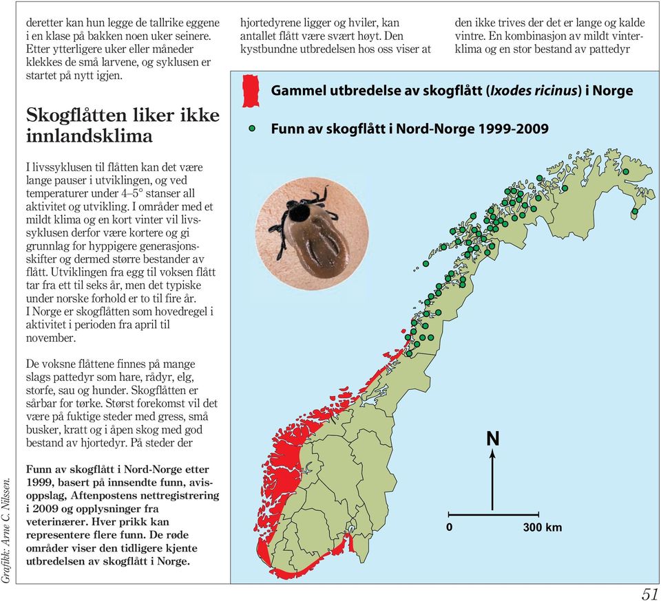 En kombinasjon av mildt vinterklima og en stor bestand av pattedyr Gammel utbredelse av skogflått (Ixodes ricinus) i Norge Funn av skogflått i Nord-Norge 1999-2009 I livssyklusen til flåtten kan det