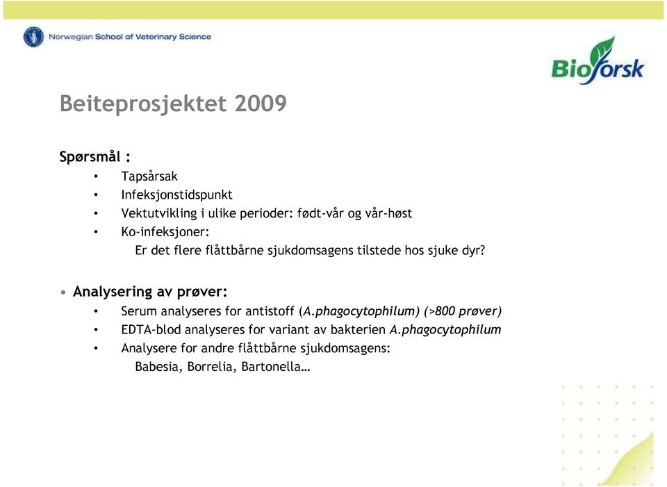 Analysering av prøver: Serum analyseres for antistoff (A.