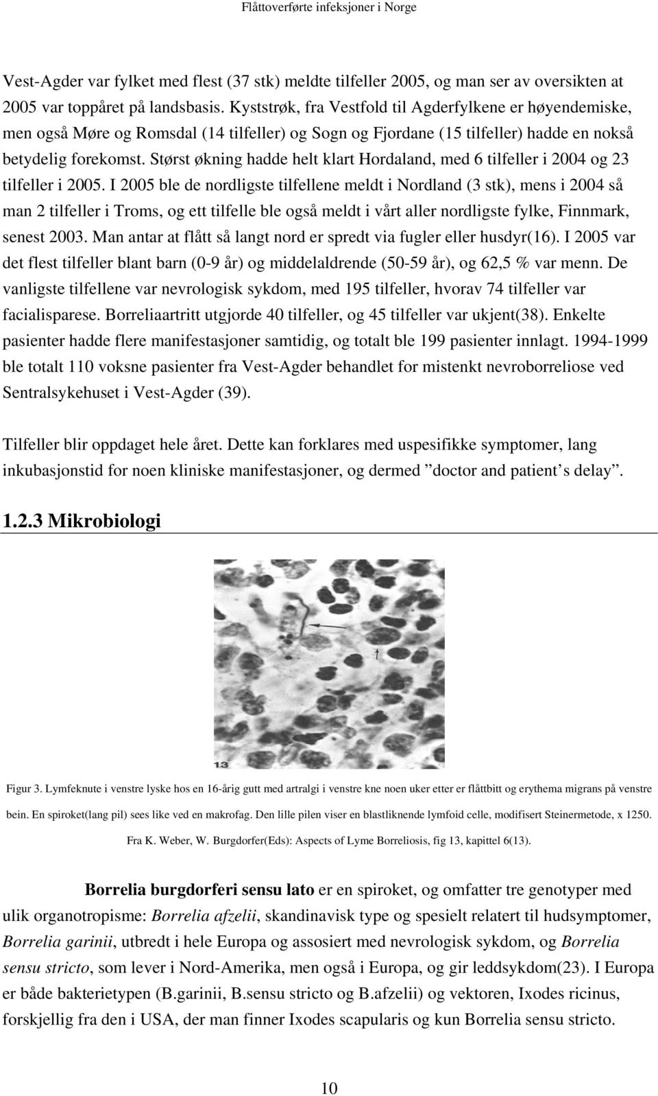 Størst økning hadde helt klart Hordaland, med 6 tilfeller i 2004 og 23 tilfeller i 2005.