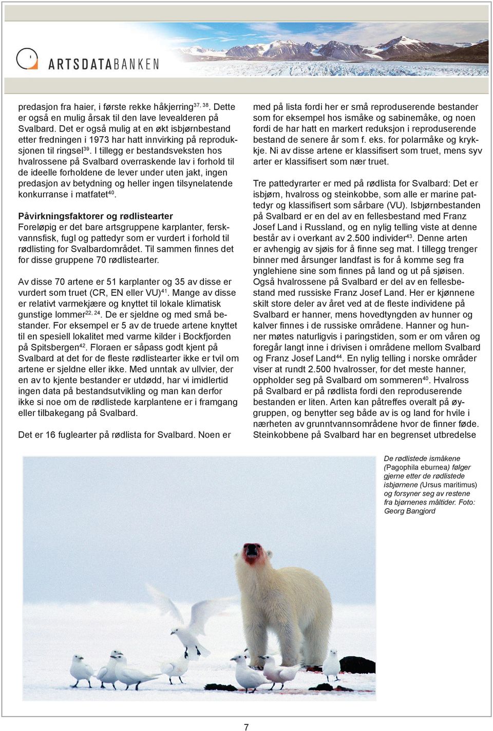 I tillegg er bestandsveksten hos hvalrossene på Svalbard overraskende lav i forhold til de ideelle forholdene de lever under uten jakt, ingen predasjon av betydning og heller ingen tilsynelatende