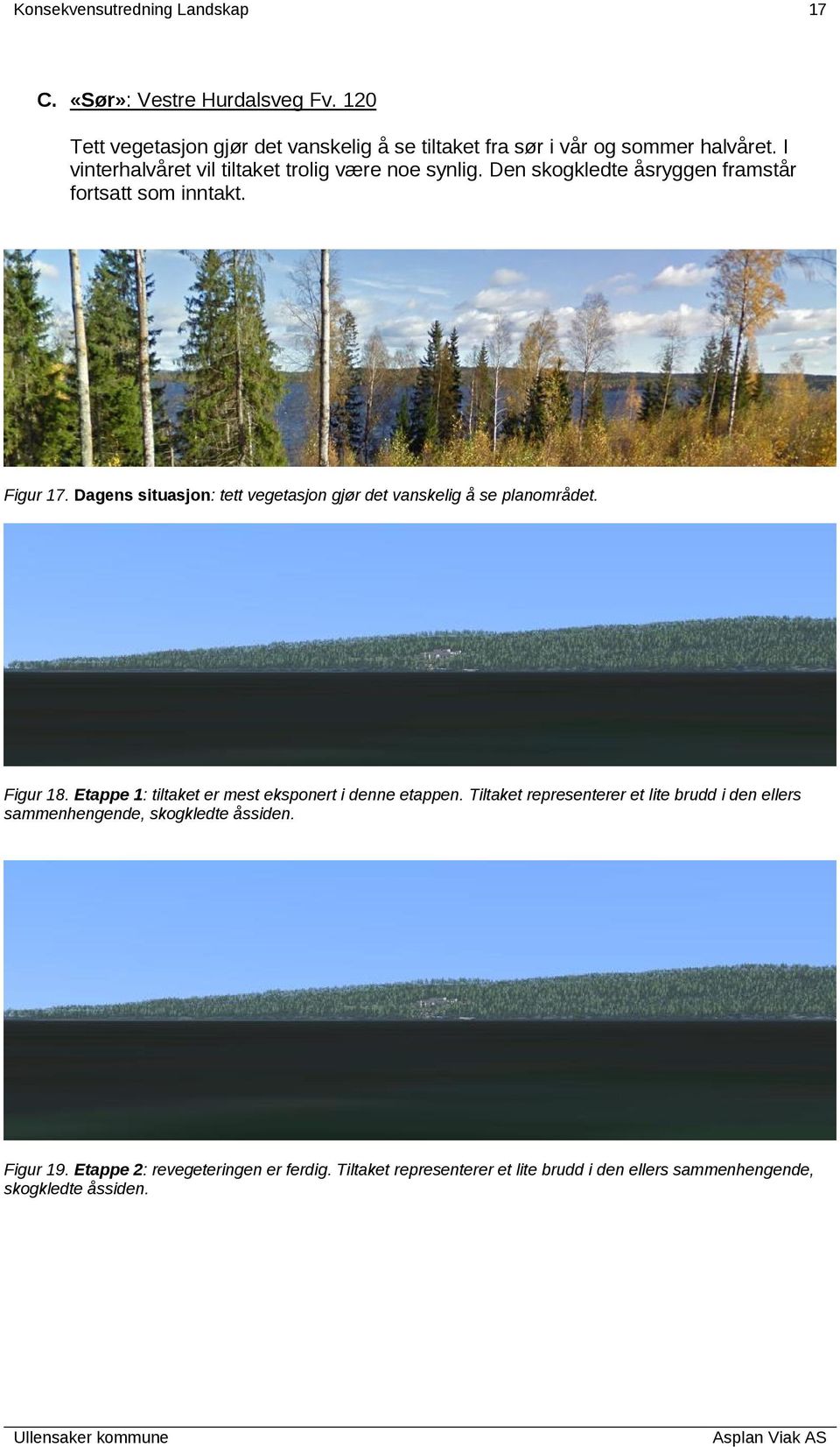 Dagens situasjon: tett vegetasjon gjør det vanskelig å se planområdet. Figur 18. Etappe 1: tiltaket er mest eksponert i denne etappen.