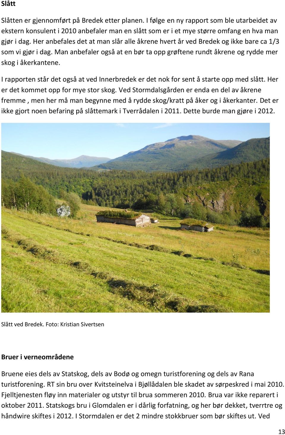 I rapporten står det også at ved Innerbredek er det nok for sent å starte opp med slått. Her er det kommet opp for mye stor skog.