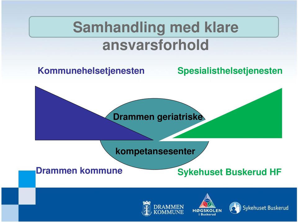 Spesialisthelsetjenesten Drammen