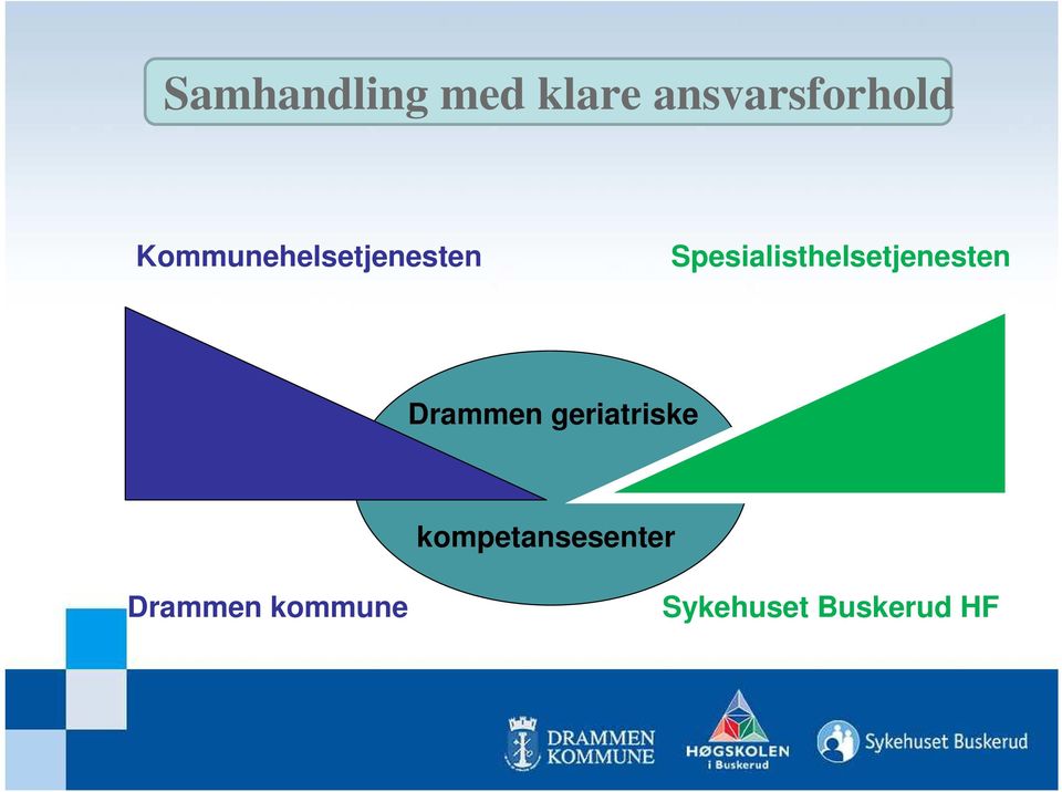 Spesialisthelsetjenesten Drammen