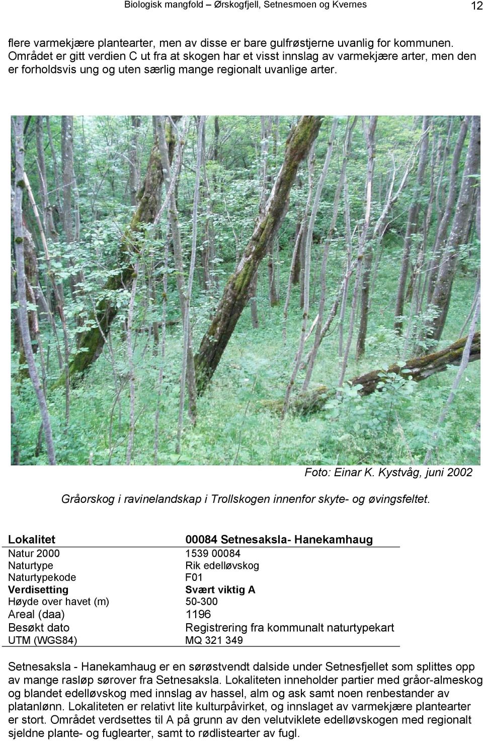 Kystvåg, juni 2002 Gråorskog i ravinelandskap i Trollskogen innenfor skyte- og øvingsfeltet.