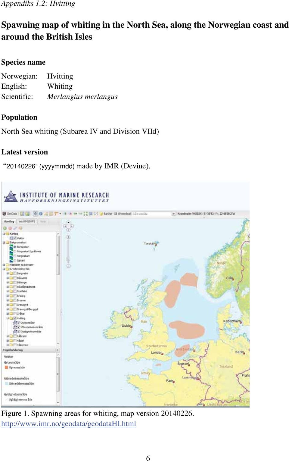 Isles Species name Norwegian: Hvitting English: Whiting Scientific: Merlangius merlangus Population North